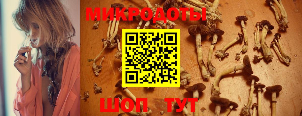 Псилоцибиновые грибы Psilocybe  Псилоцибиновые грибы GOLDEN TEACHER  Тавда  Вход с VPN 