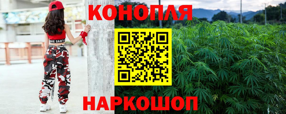 Бошки марихуана Amnesia  Канабис ГИДРОПОН  Вход с VPN  Тавда 